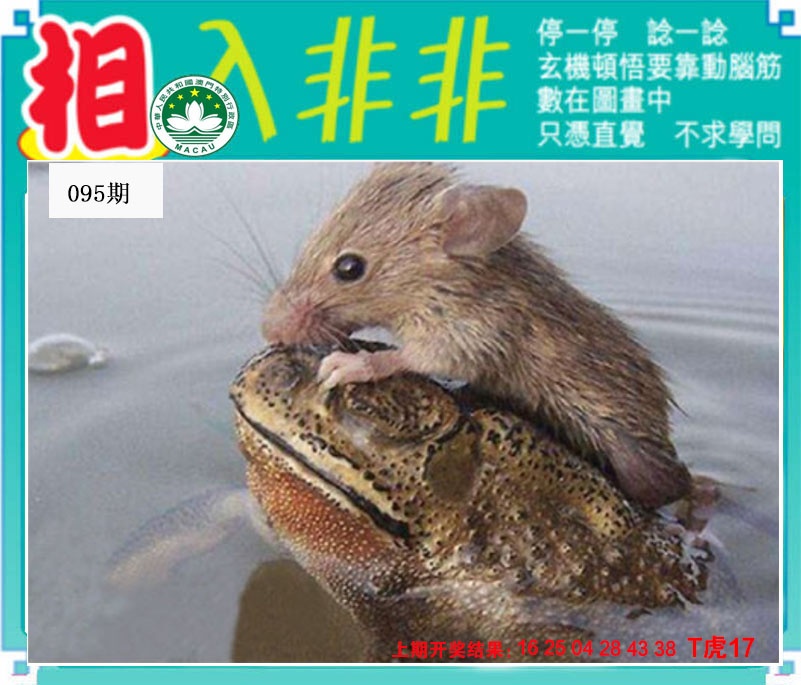 095期相入非非[图]